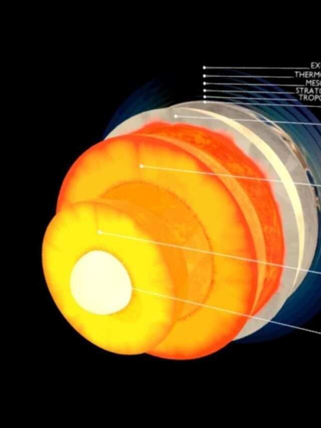 Why Wood is more Valuable than Diamonds in the whole Universe The