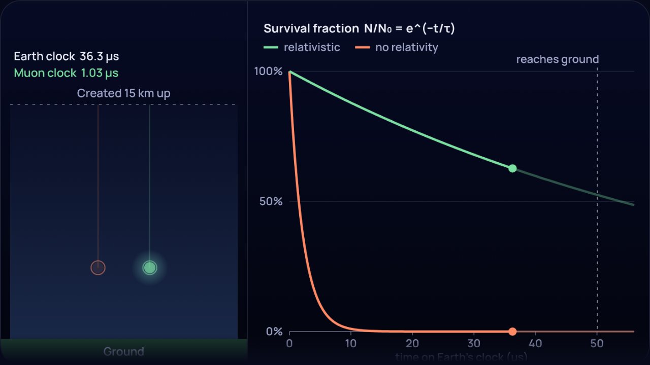 A muon falling 15 km beside survival curves with and without relativity